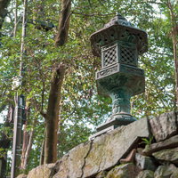 徳島県金比羅の境内に佇む苔むした石灯籍と参道の写真