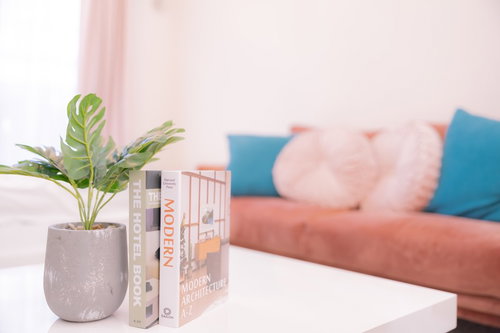 白いリビングテーブル上に置かれた観葉植物と洋書
