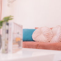 ブルーのソファーとピンクのクッションがある観葉植物のあるワンルームの写真