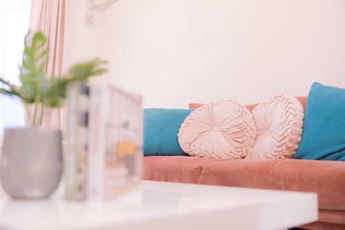 ブルーのソファーとピンクのクッションがある観葉植物のあるワンルーム