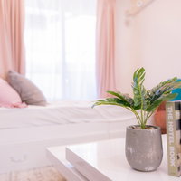 ピンクを基調としたワンルームの女子部屋のインテリアの写真