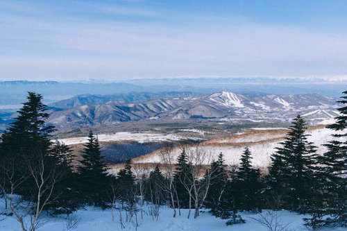 冬の菅平牧場から見た四阿山の雪山遠景