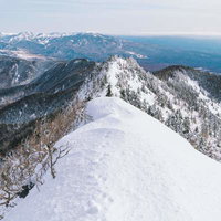 日本百名山・四阿山山頂の雪稜ナイフリッジの写真