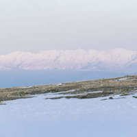 菅平牧場から見る冬の北アルプス連峰と雪化粧した山並みの写真