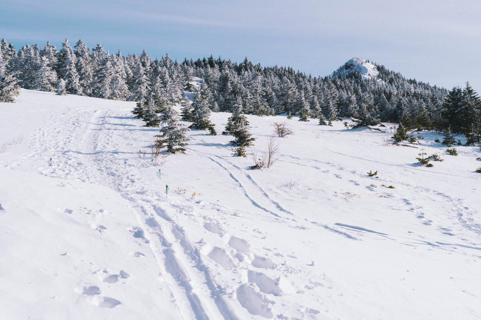 雪に覆われた四阿山の稜線に登山者の足跡が続く冬山の風景