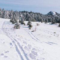 雪が積もった日本百名山・四阿山の山頂稜線の写真