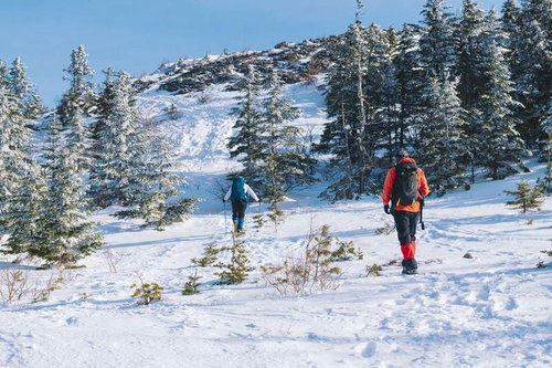 日本百名山の四阿山を雪の斜面に登る登山者