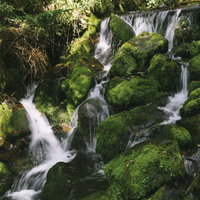 上高地の林道脇を流れる苔生す岩場の清流と槍ヶ岳の山林の写真