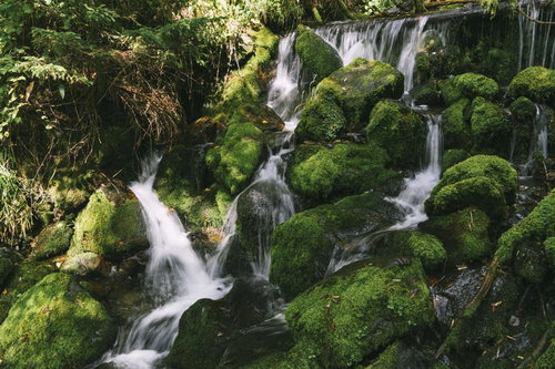 上高地の林道脇を流れる苔生す岩場の清流と槍ヶ岳の山林