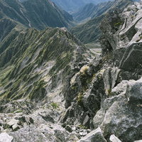 槍ヶ岳山頂から見る東鎌尾根と北アルプスの稜線の写真