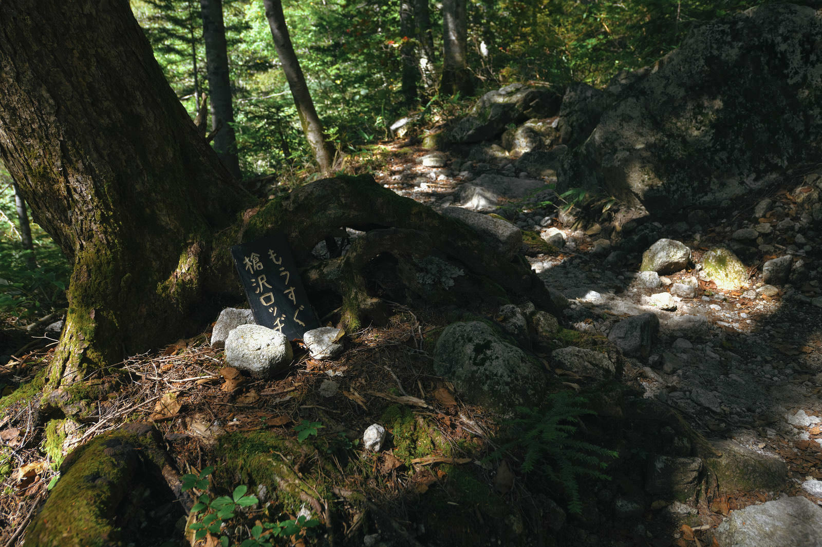 槍沢ロッジの案内標識が付いた苔むした岩と登山道