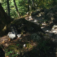 槍ヶ岳登山道の槍沢ロッジへ続く案内標識と山道の風景の写真