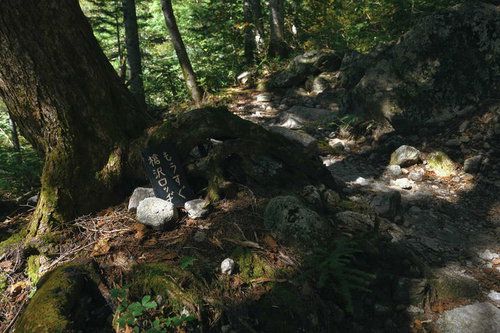 槍ヶ岳登山道の槍沢ロッジへ続く案内標識と山道の風景
