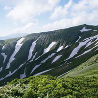 飯豊山系・門内岳山腹に現れるゼブラ模様の残雪と高山植物の写真