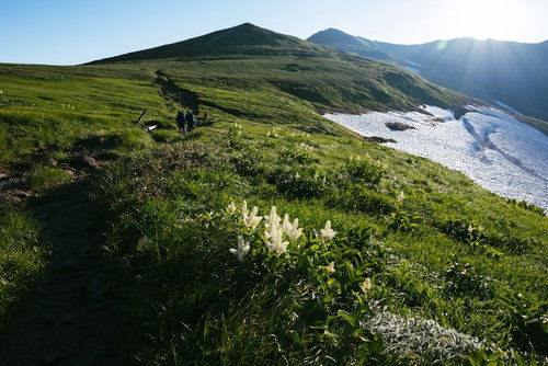 飯豊本山から御西小屋へ続く緑の稜線と登山道