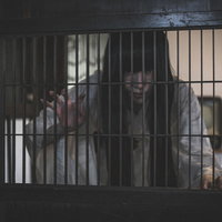 格子越しに薄暗く覗き見る黒髪長髪の女性の恨みの表情の写真