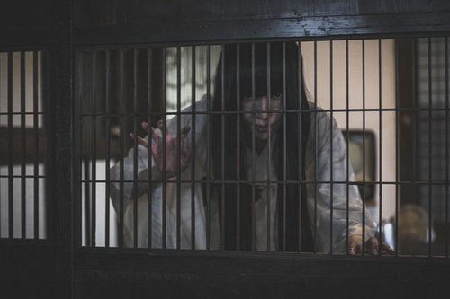 格子越しに薄暗く覗き見る黒髪長髪の女性の恨みの表情