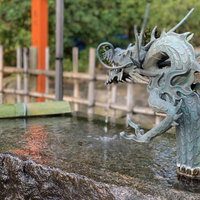 龍の頭部が設置された神社の手水舎の写真