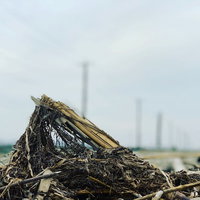 解体現場の瓦礫と電柱の風景の写真