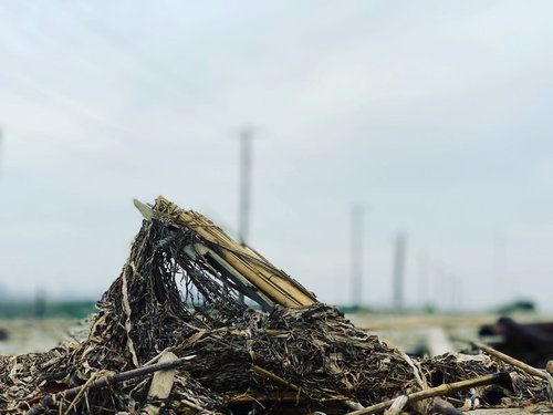 解体現場の瓦礫と電柱の風景