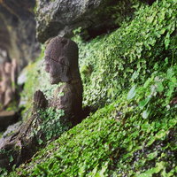 山に潜む苔むした古いお地蔵さんの石像と自然が織りなす風景の写真
