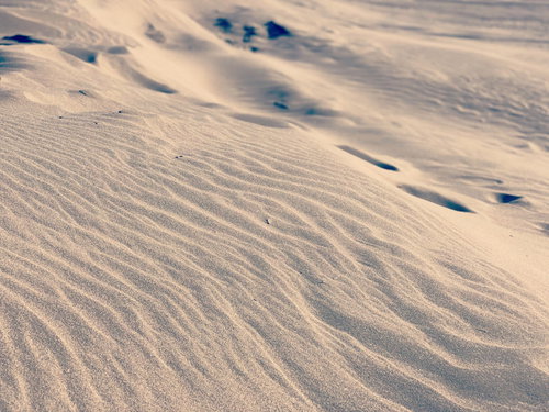 風が刻んだ模様がきれいな砂浜の風紋と波紋