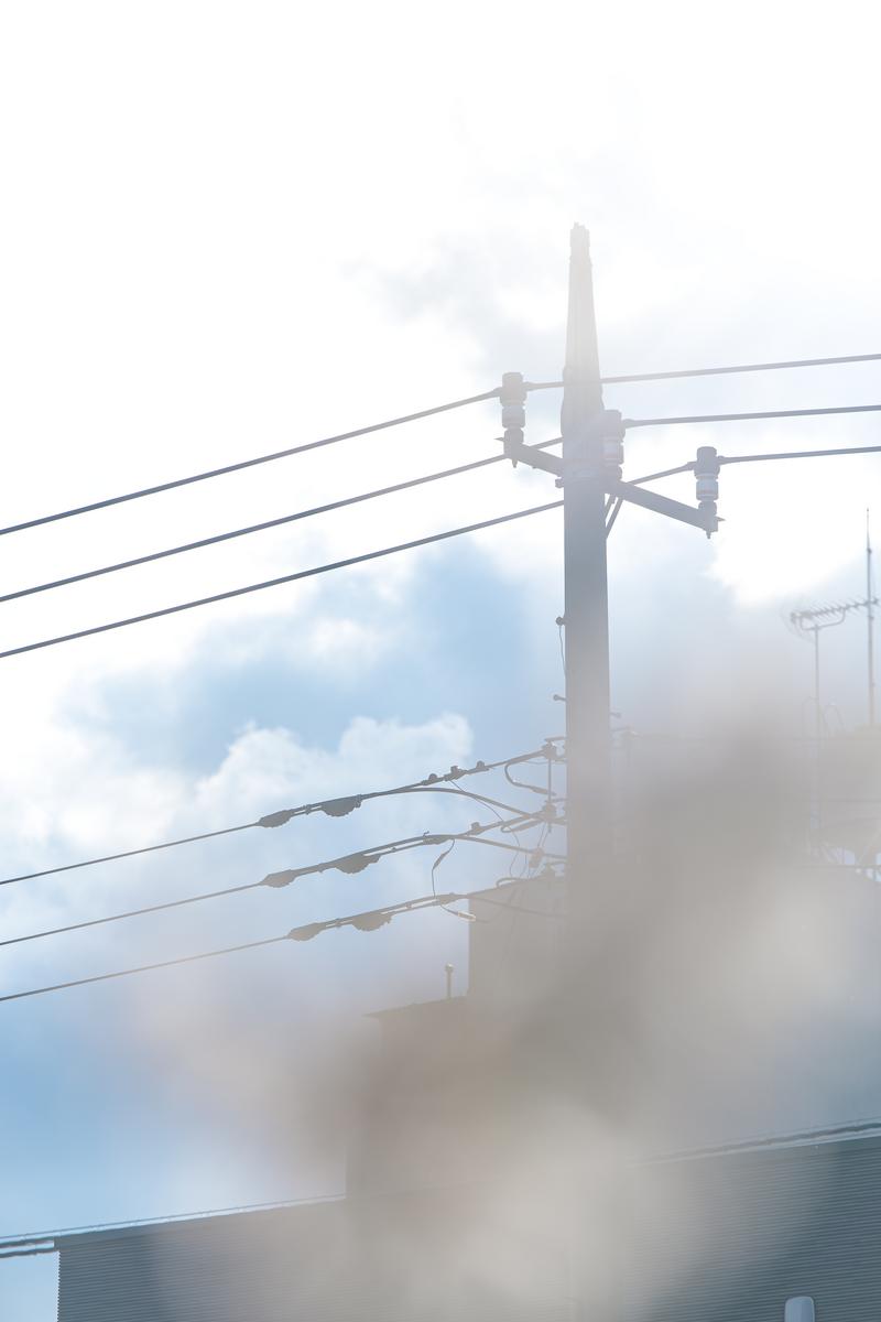 霧がかかった景色の中、複数本の電線が張られた木製の電柱