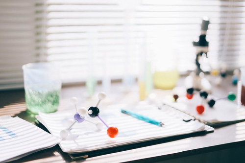 研究室で分子構造模型と試験管を使った実験