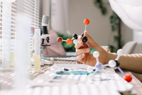 分子構造模型を手に取り化学の研究に勤しむ