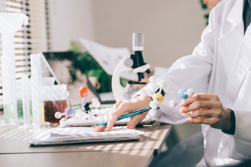 研究室で論文を書きながら分子構造模型を持つ実験