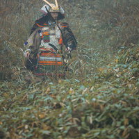大鎧を纏い弓を持つ武士の甲冑姿。戦国時代の武士の写真