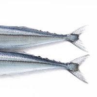 白い背景に映える秋刀魚の銀色の尾びれと身の写真