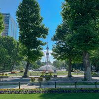 さっぽろテレビ塔が見える札幌大通り公園の景観の写真