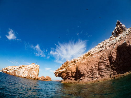 アシカの棲む島「LOS ISLOTES」