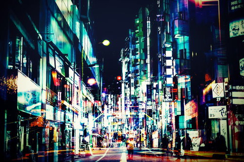 キャットタワーから見下ろす猫