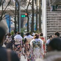 成人式会場に向かう晴れ着姿の新成人たちの写真