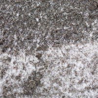 降り始めた雪が積もる泥の地面の風景の写真