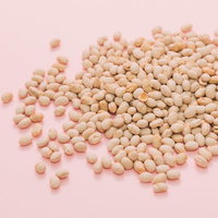 節分の豆まきに使う大豆の福豆の写真