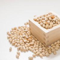 白い枡に入った節分の豆まき用大豆の写真