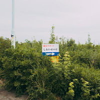 絶景スポット「しあわせの丘」の看板と雑草の写真