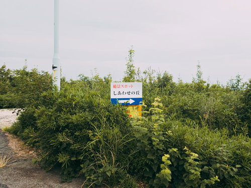 絶景スポット「しあわせの丘」の看板と雑草
