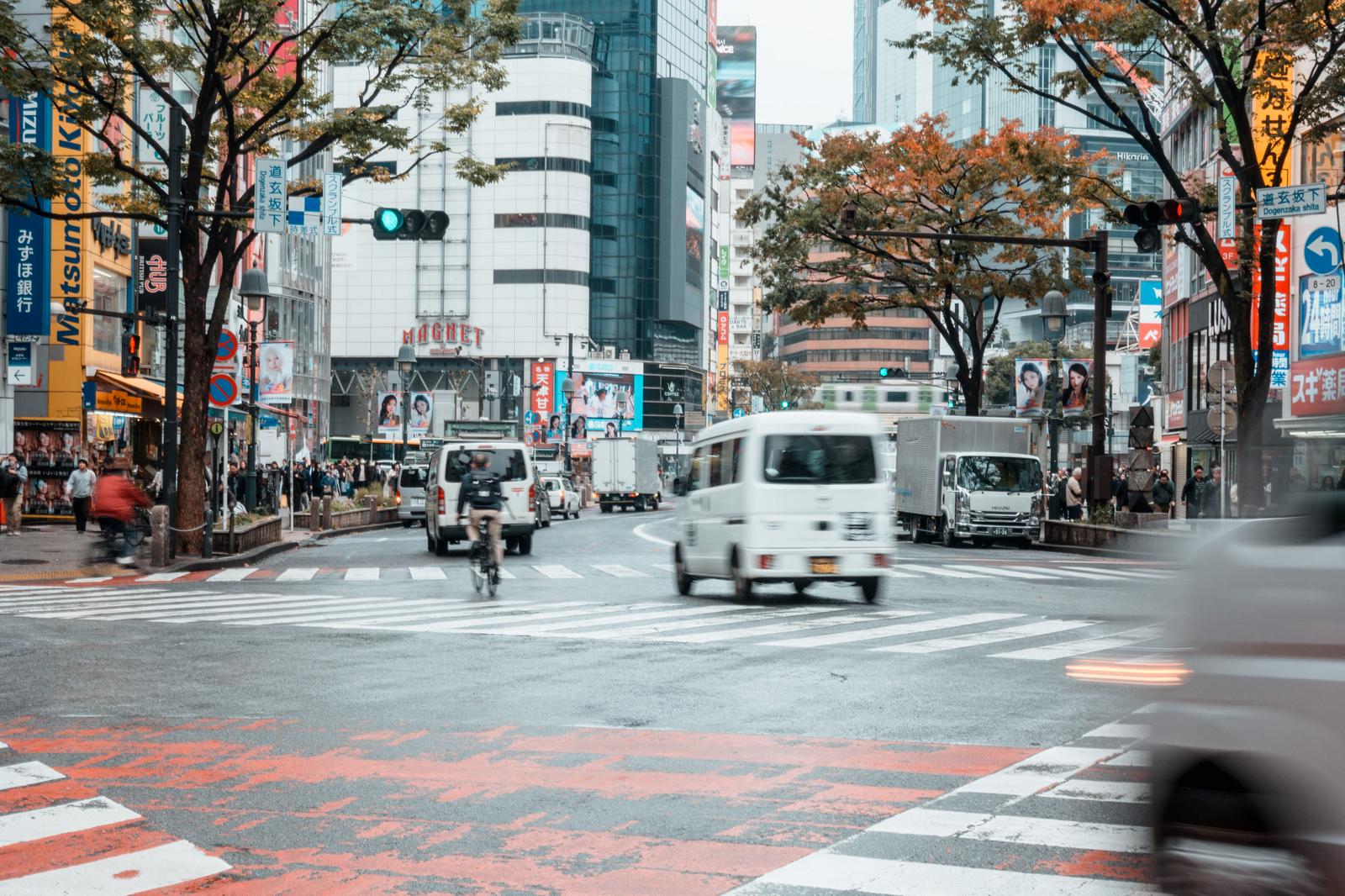 秋の紅葉が色づく渋谷スクランブル交差点で、複数の車両が走行し、歩行者が横断歩道を渡っている都市風景