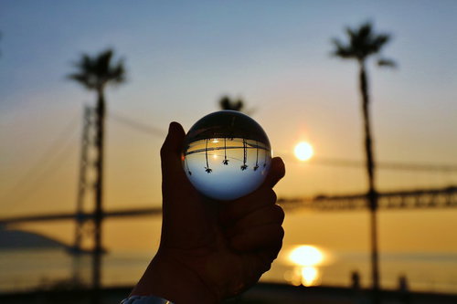手に持ったヤシの木と夕日が映り込む水晶玉