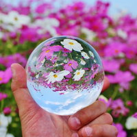 手に持つ水晶玉に映るコスモス畑と秋桜の風景の写真