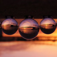 水晶玉に映り込んだコスモス畑の写真