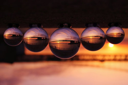 水晶玉に映り込んだコスモス畑