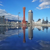 神戸ポートタワーと周辺ビルが映る水鏡のシンメトリの世界の写真