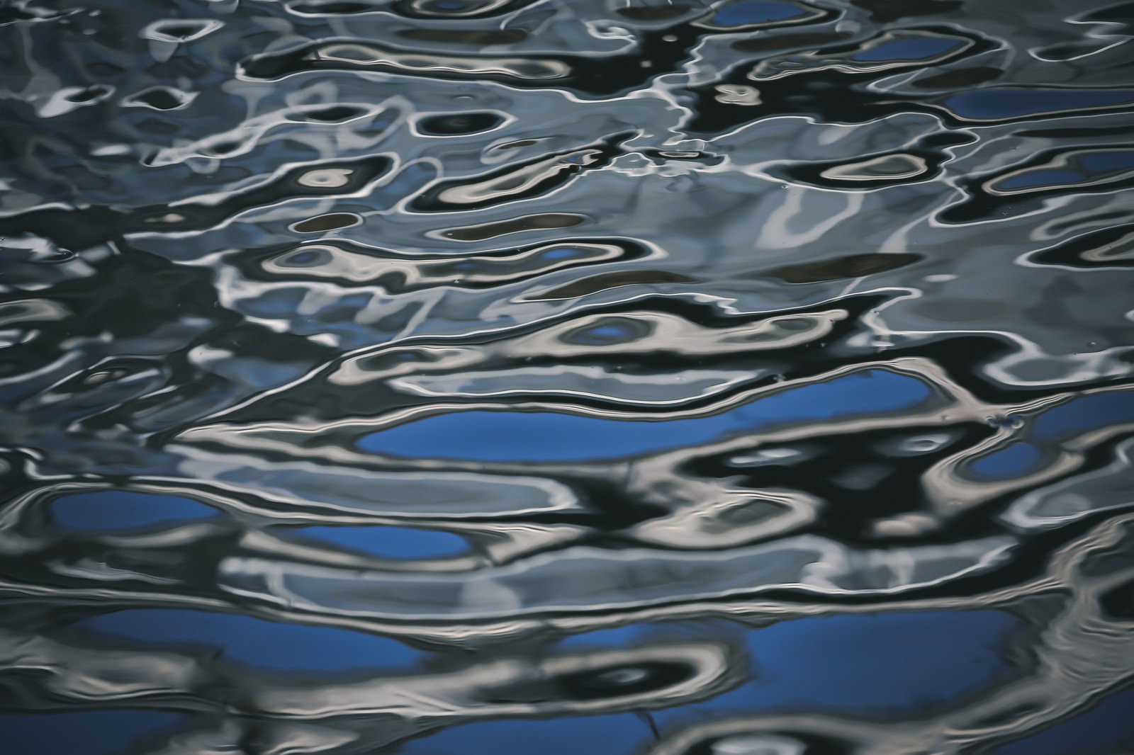 池の水面に広がる波紋が光を反射して輝いている様子