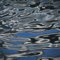 池の水面に広がる波紋と光の反射の写真