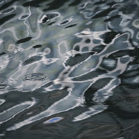 池の水面に広がる波紋と光の反射が作り出す同心円模様の写真